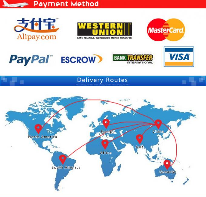 FCL Door To Door Freight Forwarding Service From China To Us UK Canada Europe 3000 Kg 6